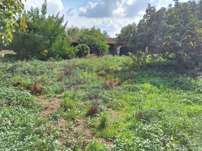 Quinta T5 para Venda em Fradelos Foto 67