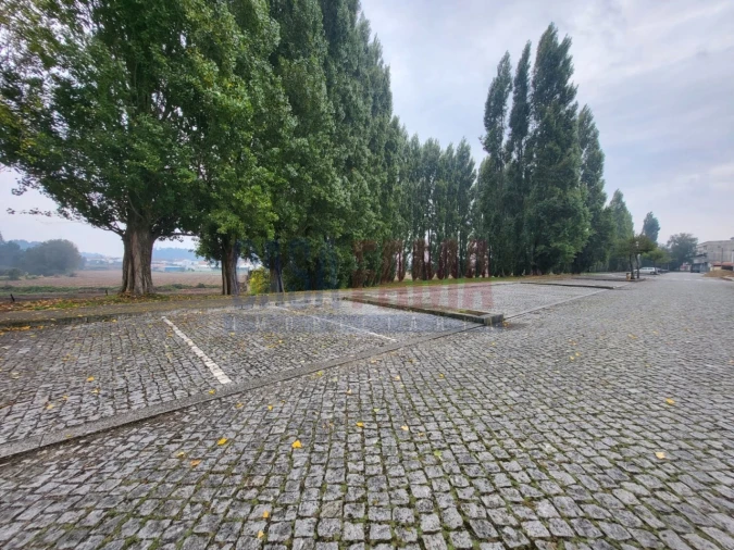 Terreno para Venda em Balazar Foto 5