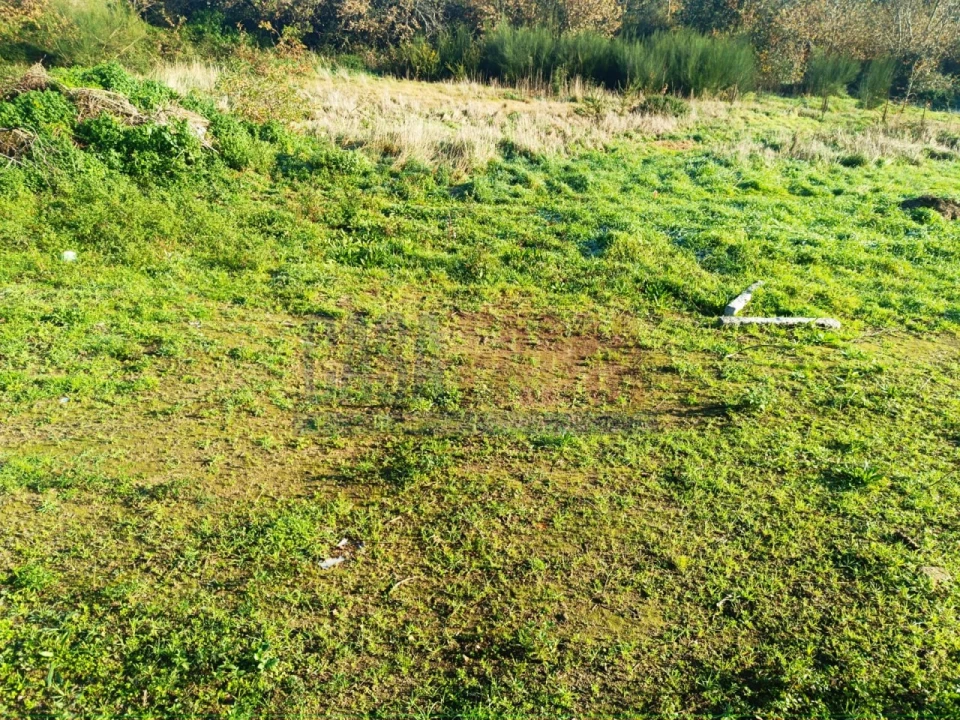 Terreno para Venda em Touguinha e Touguinhó Foto 13