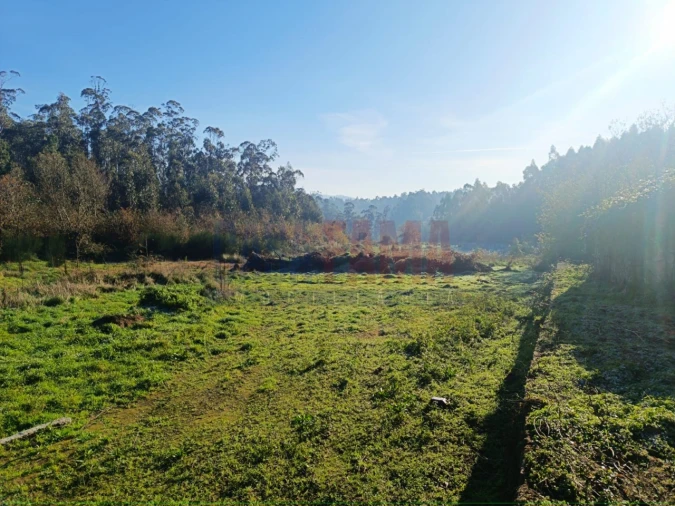 Terreno para Venda em Touguinha e Touguinhó