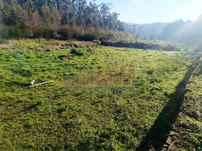Terreno para Venda em Touguinha e Touguinhó Foto 12