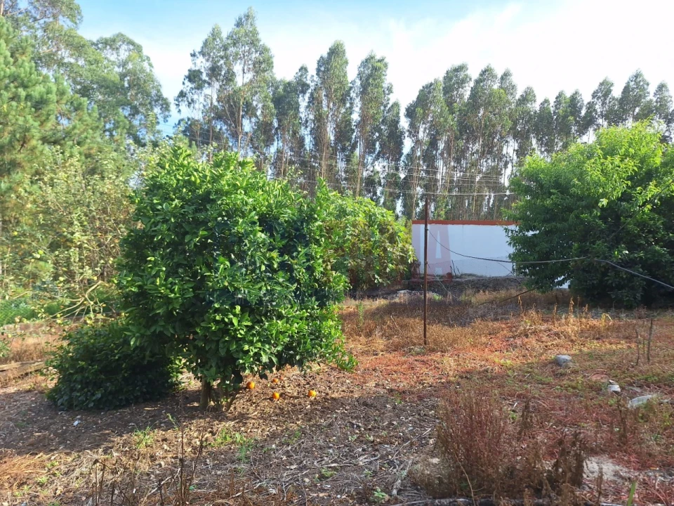 Moradia T5 para Venda em Bagunte, Ferreiró, Outeiro Maior e Parada Foto 13