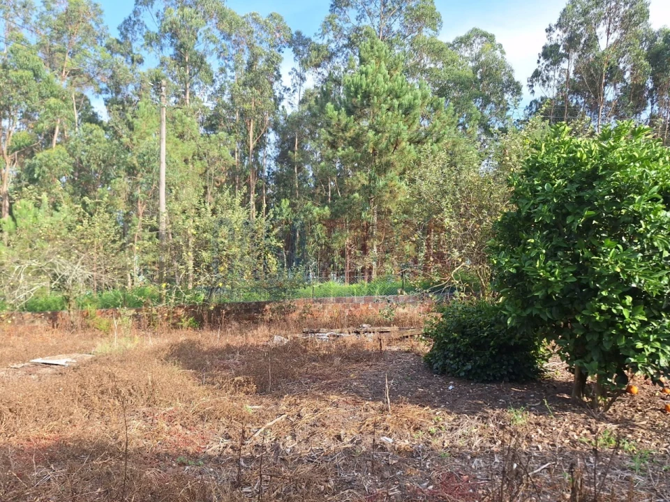 Moradia T5 para Venda em Bagunte, Ferreiró, Outeiro Maior e Parada Foto 14