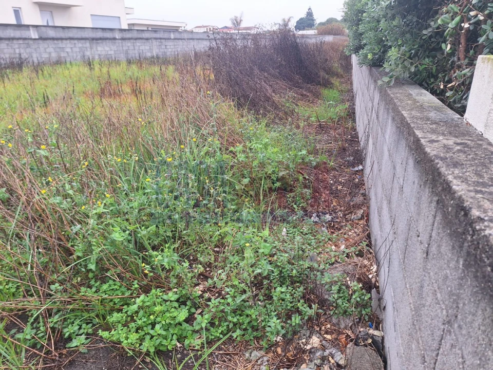 Terreno para Venda em Aguçadoura e Navais Foto 5