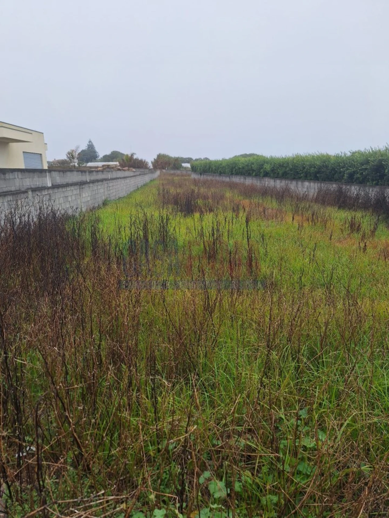 Terreno para Venda em Aguçadoura e Navais Foto 6