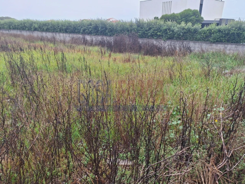 Terreno para Venda em Aguçadoura e Navais Foto 8