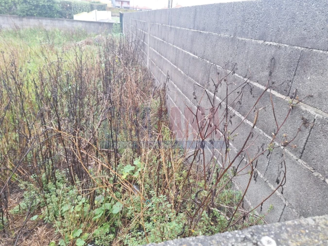 Terreno para Venda em Aguçadoura e Navais Foto 7