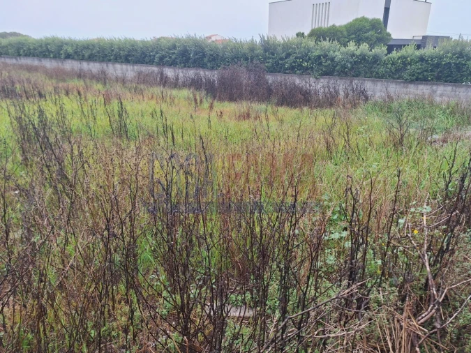 Terreno para Venda em Aguçadoura e Navais Foto 8