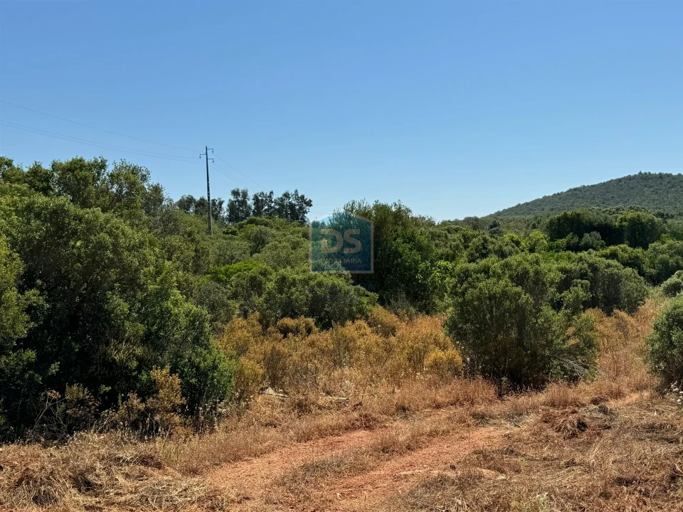 Terreno Agricola ou Rústico para Venda em Loule (São Sebastião) Foto 9