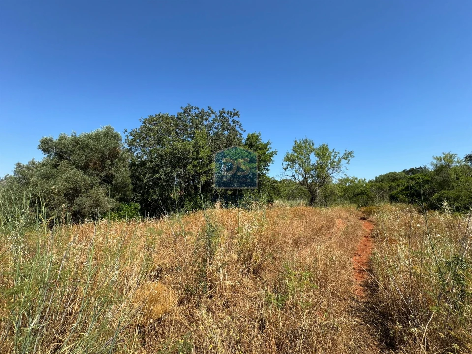 Terreno Agricola ou Rústico para Venda em Loule (São Sebastião) Foto 7
