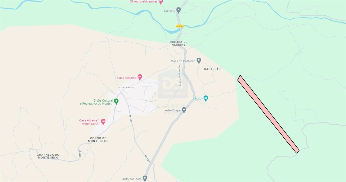 Terreno Agricola ou Rústico para Venda em Loule (São Sebastião) Foto 14