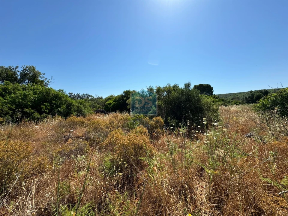 Terreno Agricola ou Rústico para Venda em Loule (São Sebastião) Foto 5
