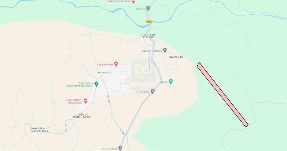 Terreno Agricola ou Rústico para Venda em Loule (São Sebastião) Foto 14