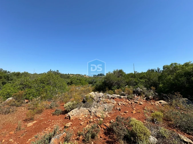 Terreno Agricola ou Rústico para Venda em Loule (São Sebastião) Foto 13