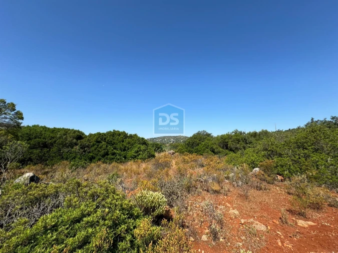 Terreno Agricola ou Rústico para Venda em Loule (São Sebastião) Foto 3