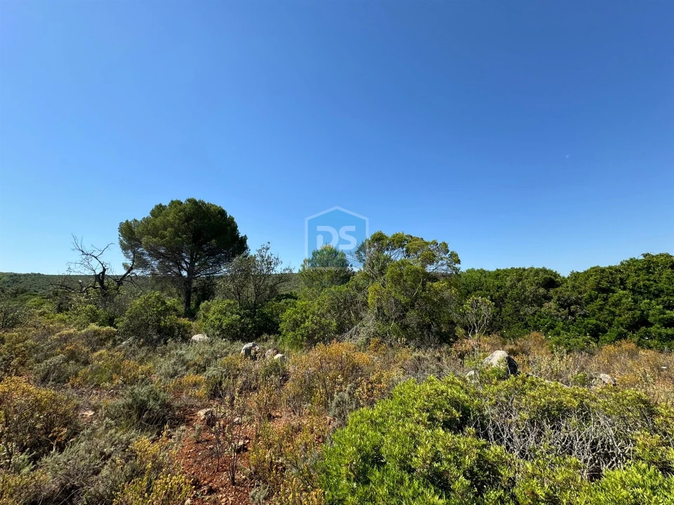 Terreno Agricola ou Rústico para Venda em Loule (São Sebastião) Foto 12