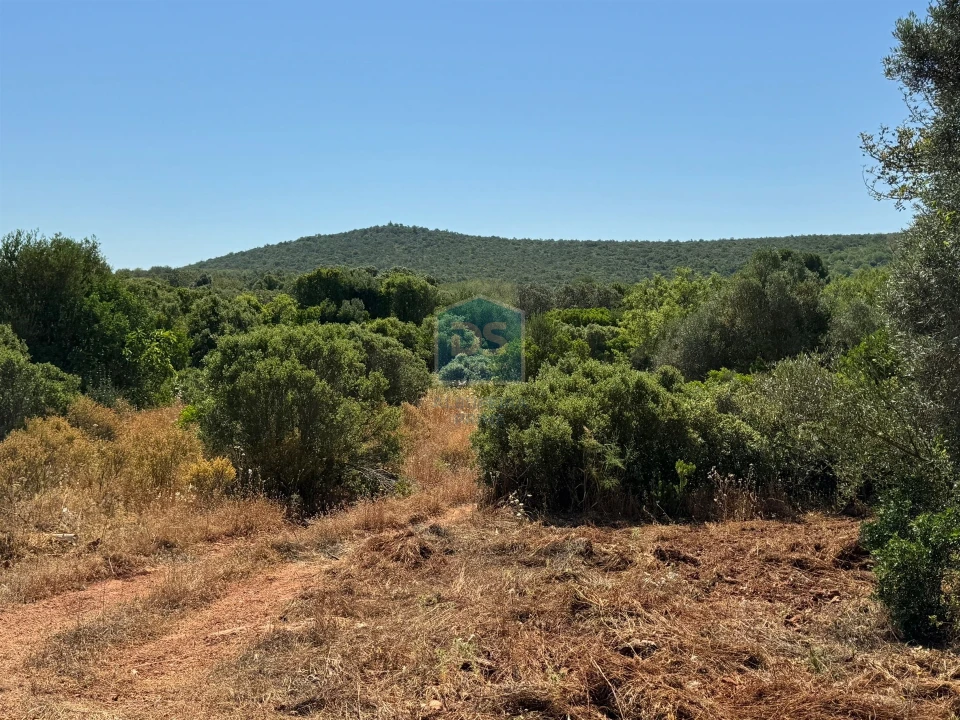 Terreno Agricola ou Rústico para Venda em Loule (São Sebastião) Foto 10