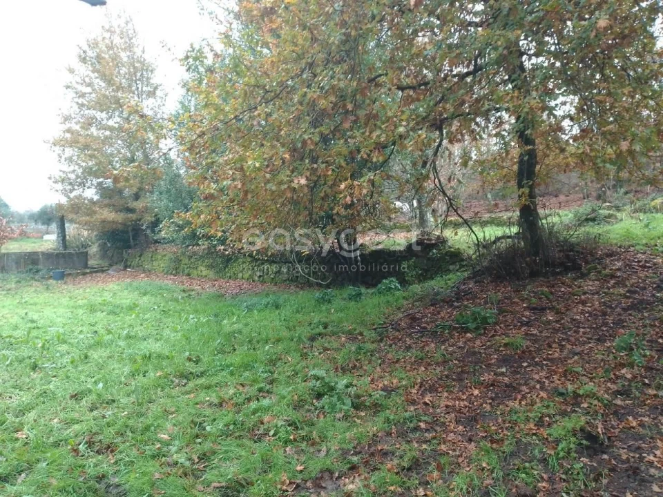 Terreno para Venda em Canas de Santa Maria Foto 3