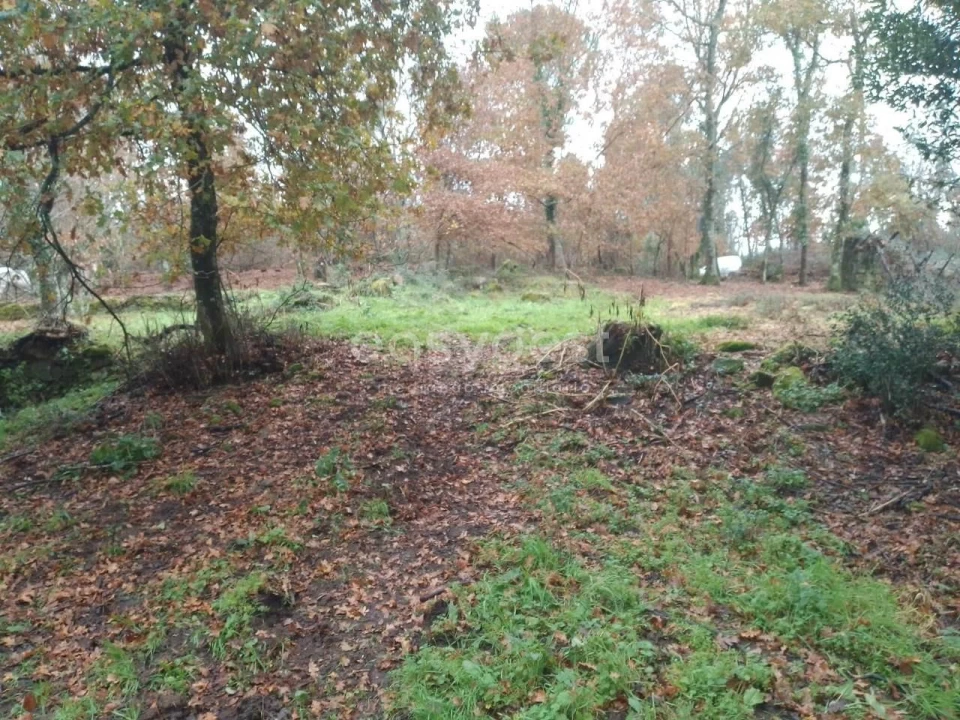 Terreno para Venda em Canas de Santa Maria Foto 4
