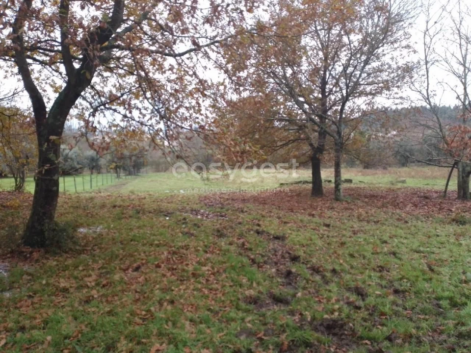 Terreno para Venda em Canas de Santa Maria Foto 8