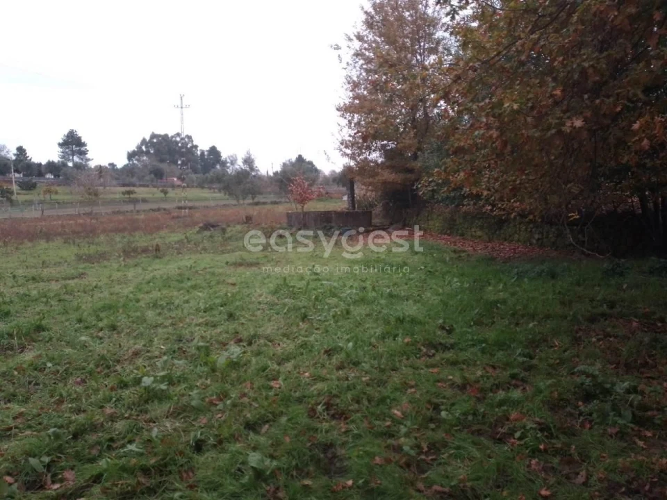 Terreno para Venda em Canas de Santa Maria Foto 9