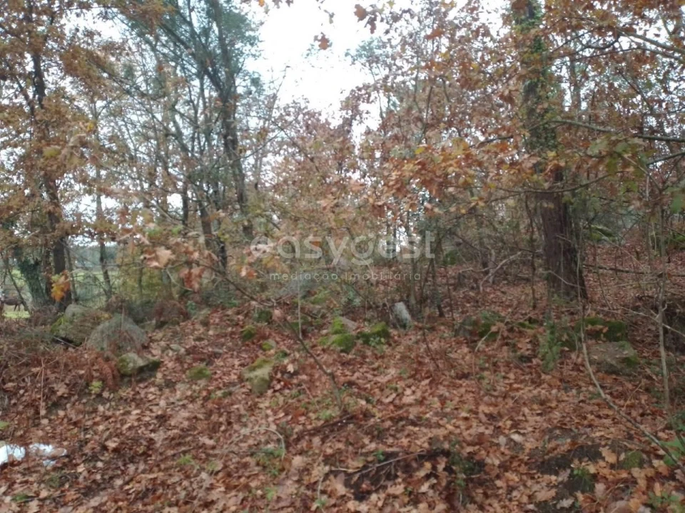 Terreno para Venda em Canas de Santa Maria Foto 11