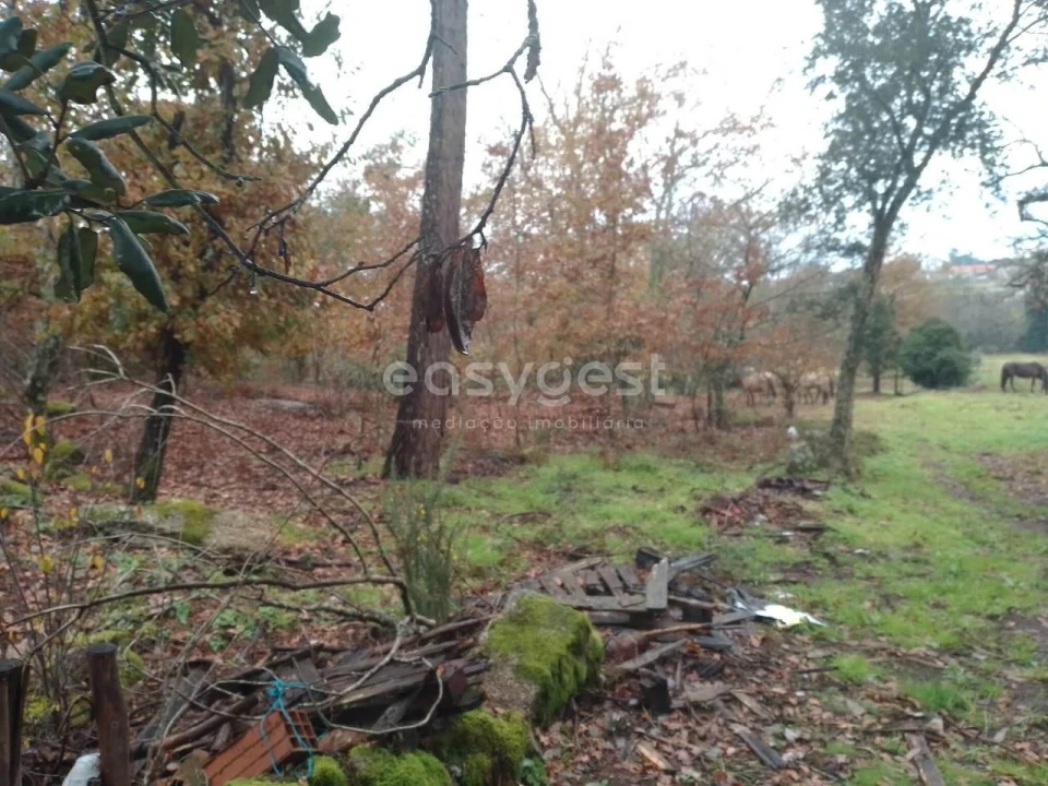 Terreno para Venda em Canas de Santa Maria Foto 17