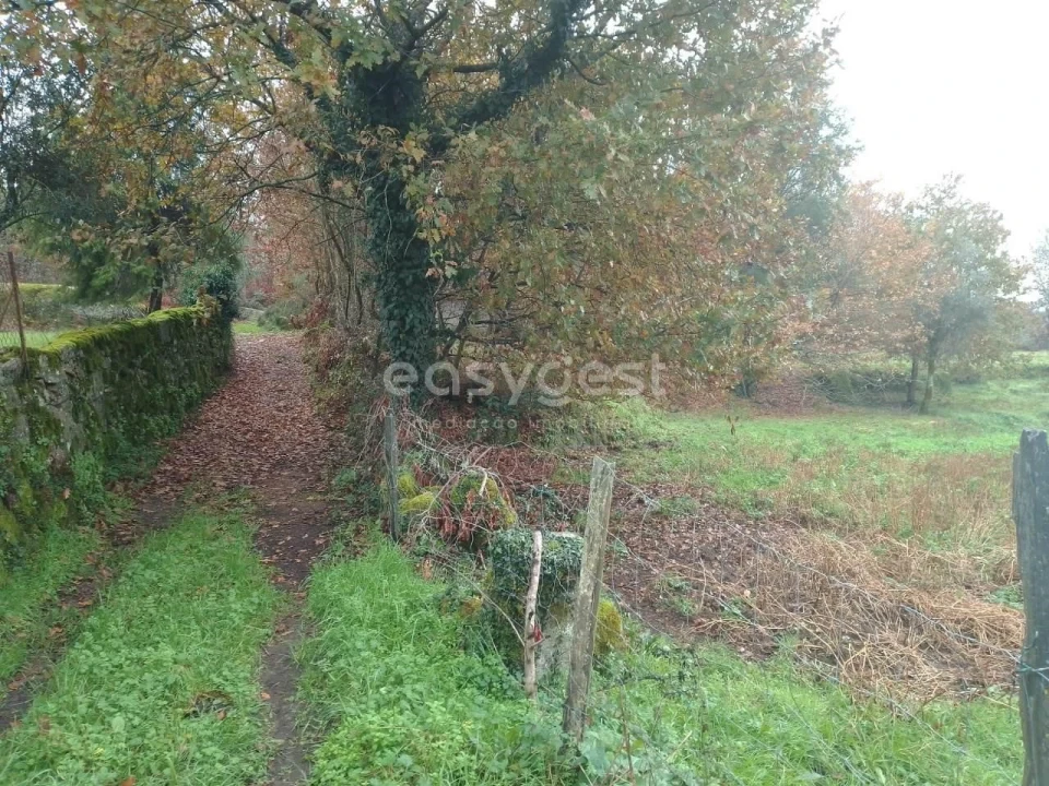 Terreno para Venda em Canas de Santa Maria Foto 18
