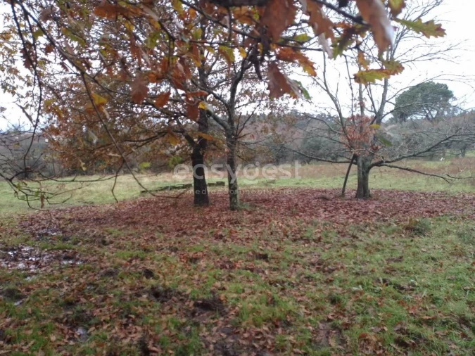 Terreno para Venda em Canas de Santa Maria Foto 2