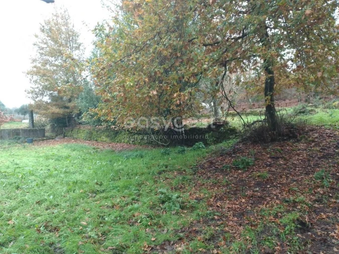 Terreno para Venda em Canas de Santa Maria Foto 3