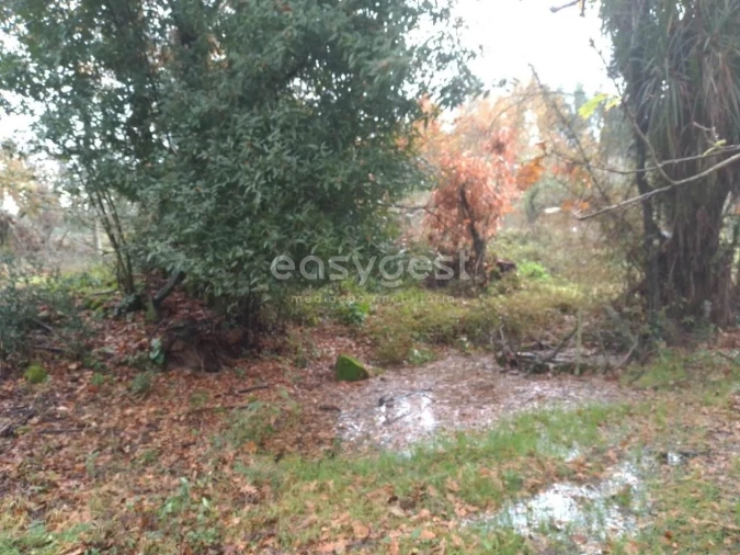 Terreno para Venda em Canas de Santa Maria Foto 5