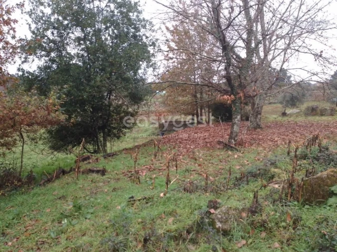 Terreno para Venda em Canas de Santa Maria Foto 10