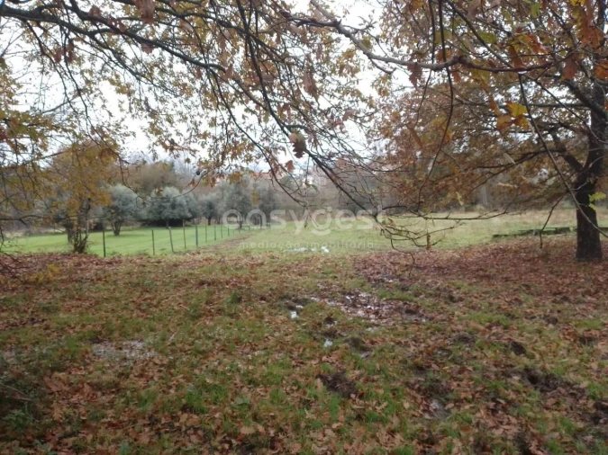 Terreno para Venda em Canas de Santa Maria Foto 12