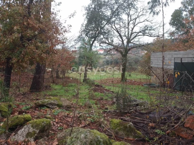 Terreno para Venda em Canas de Santa Maria Foto 15