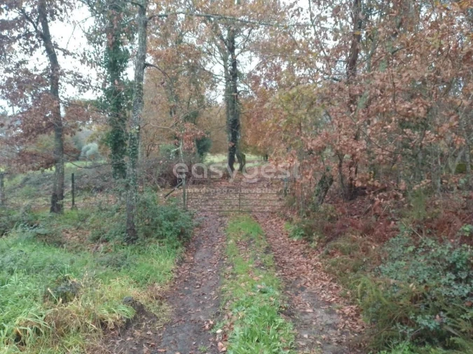 Terreno para Venda em Canas de Santa Maria Foto 16