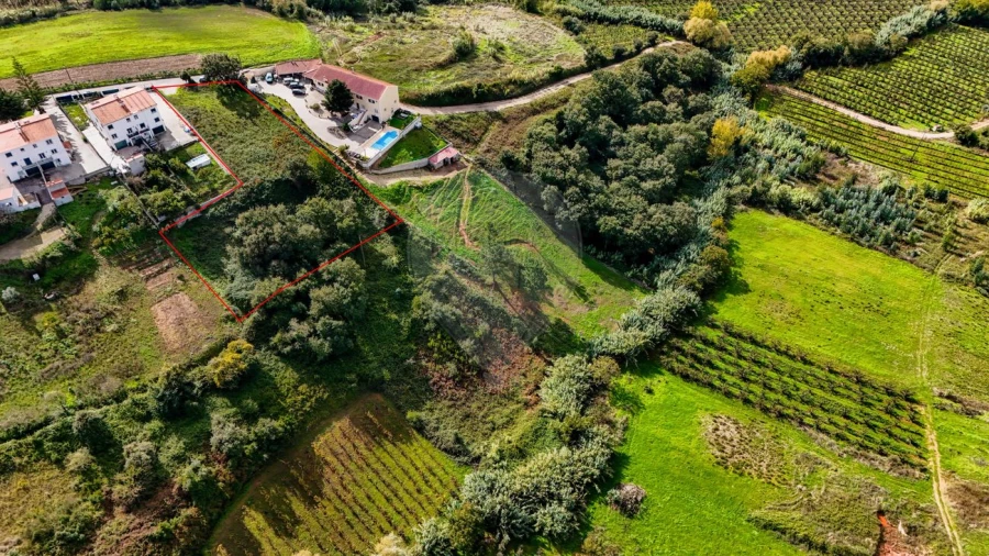 Terreno para Venda em Lamas e Cercal Foto 9