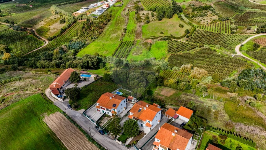 Terreno para Venda em Lamas e Cercal Foto 6