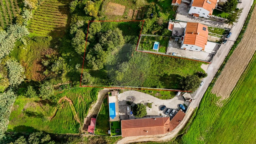 Terreno para Venda em Lamas e Cercal Foto 2
