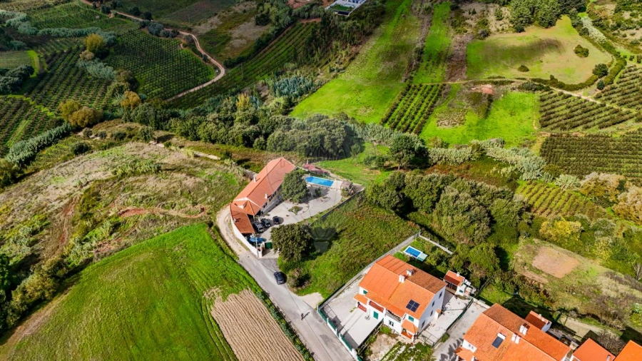 Terreno para Venda em Lamas e Cercal Foto 4