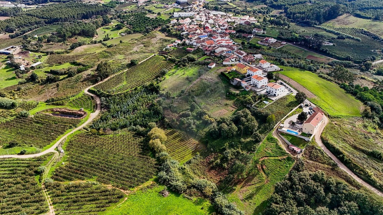 Terreno para Venda em Lamas e Cercal Foto 10