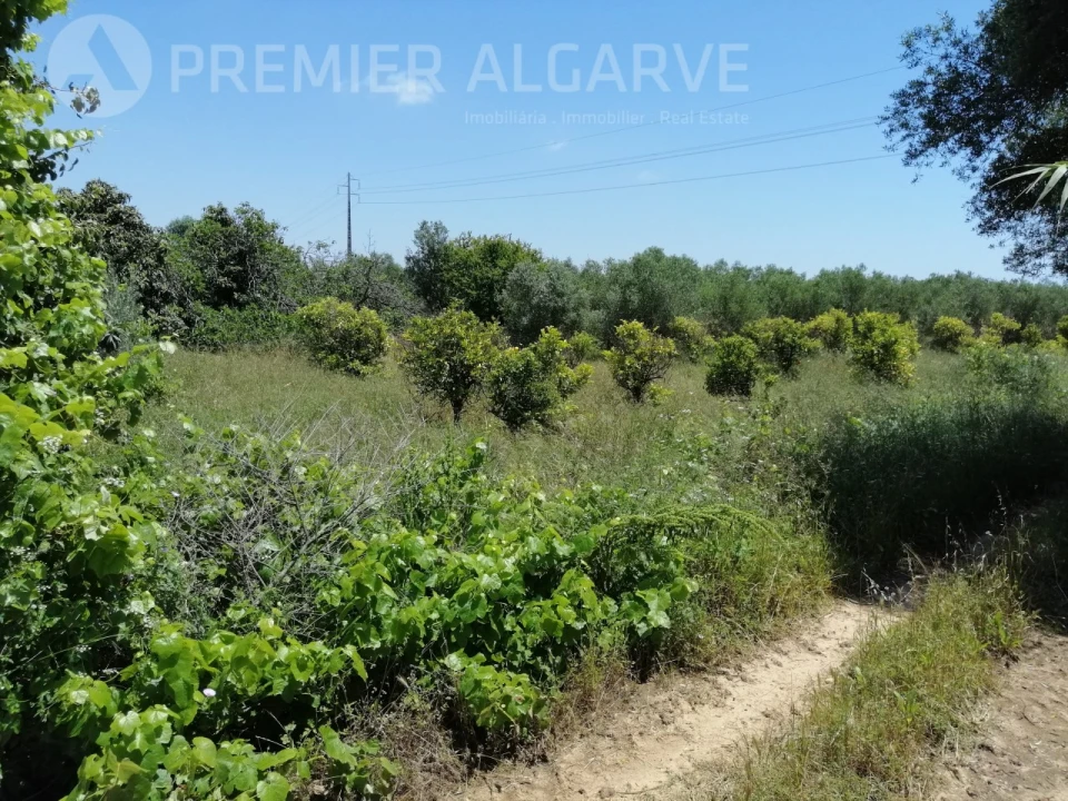 Terreno para Venda em Luz de Tavira e Santo Estêvão Foto 13