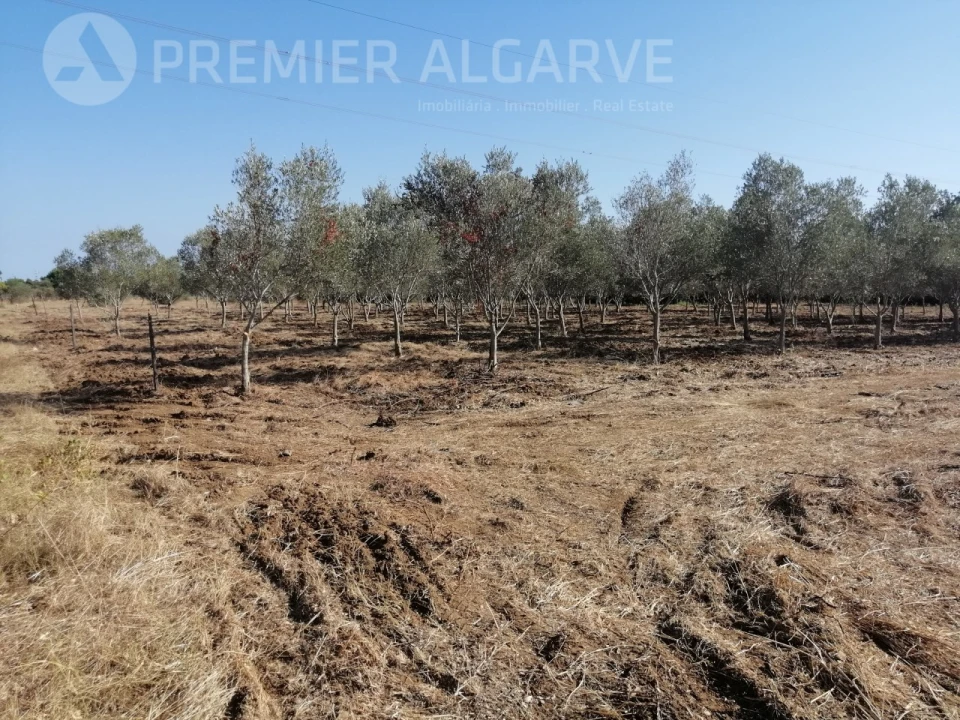 Terreno para Venda em Luz de Tavira e Santo Estêvão Foto 7