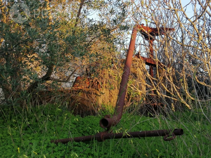 Terreno para Venda em Luz de Tavira e Santo Estêvão Foto 4