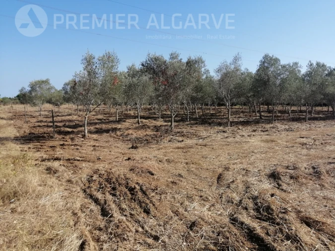 Terreno para Venda em Luz de Tavira e Santo Estêvão Foto 7