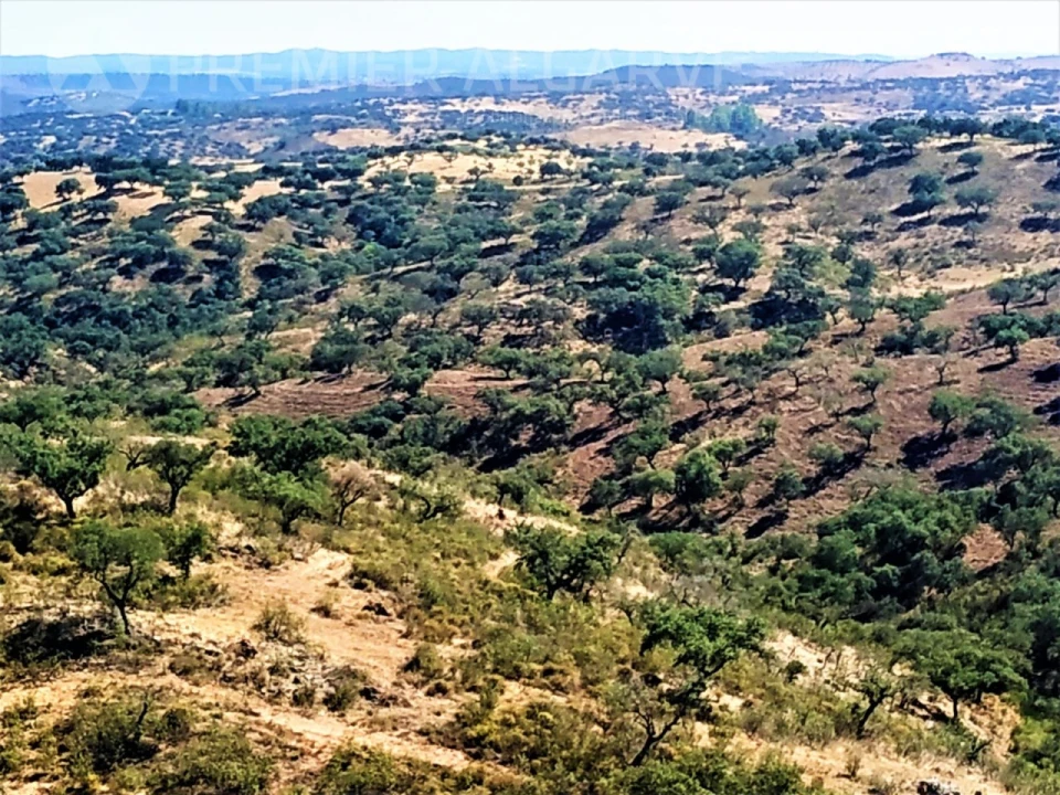Quinta para Venda em Mertola Foto 2