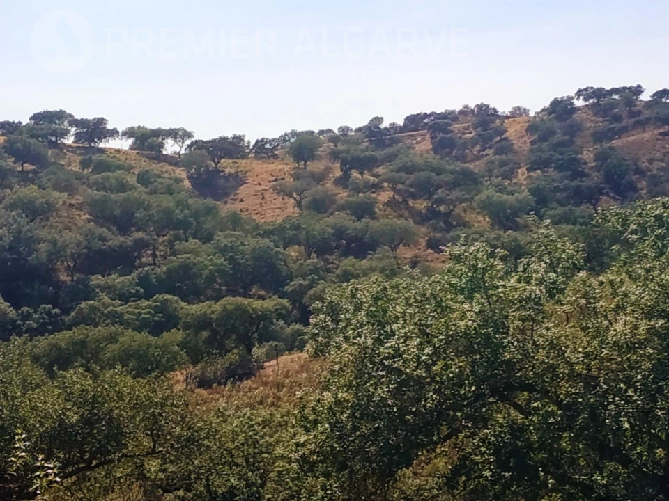 Quinta para Venda em Mertola Foto 8