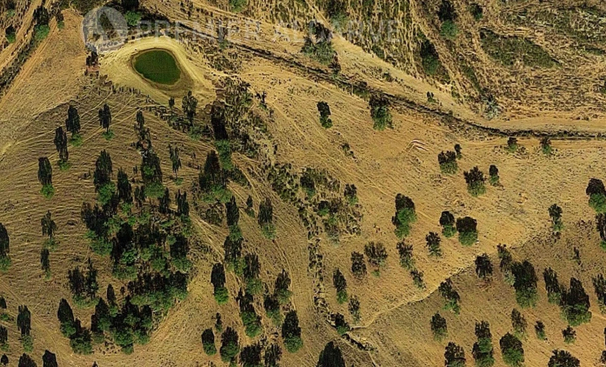 Quinta para Venda em Mertola Foto 18