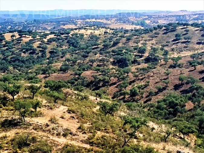 Quinta para Venda em Mertola Foto 2