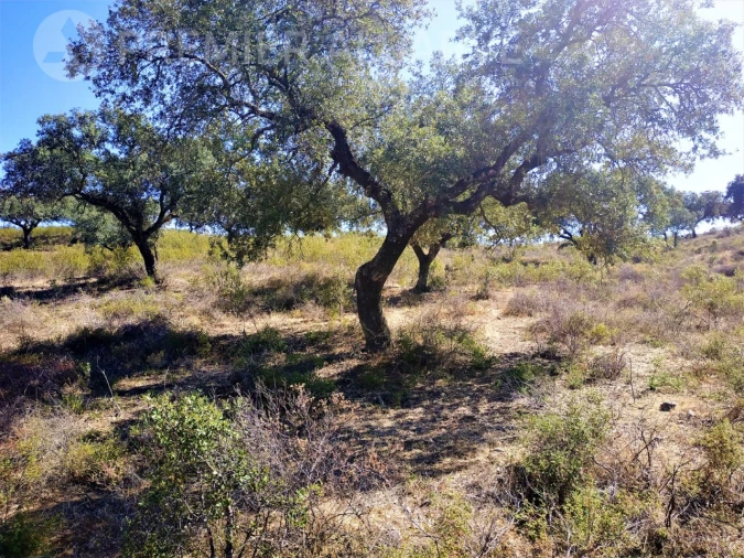 Quinta para Venda em Mertola Foto 4