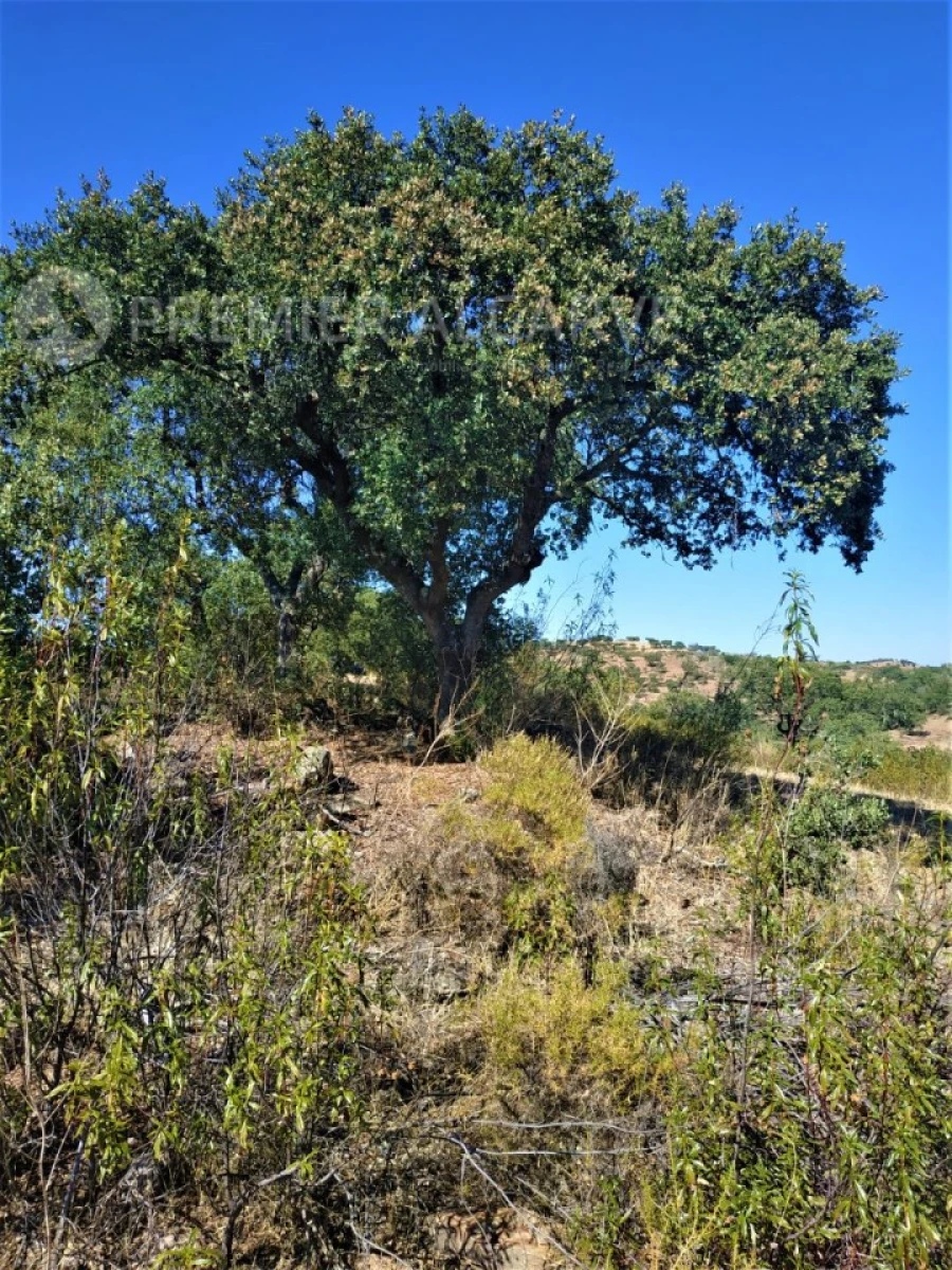 Quinta para Venda em Mertola Foto 9
